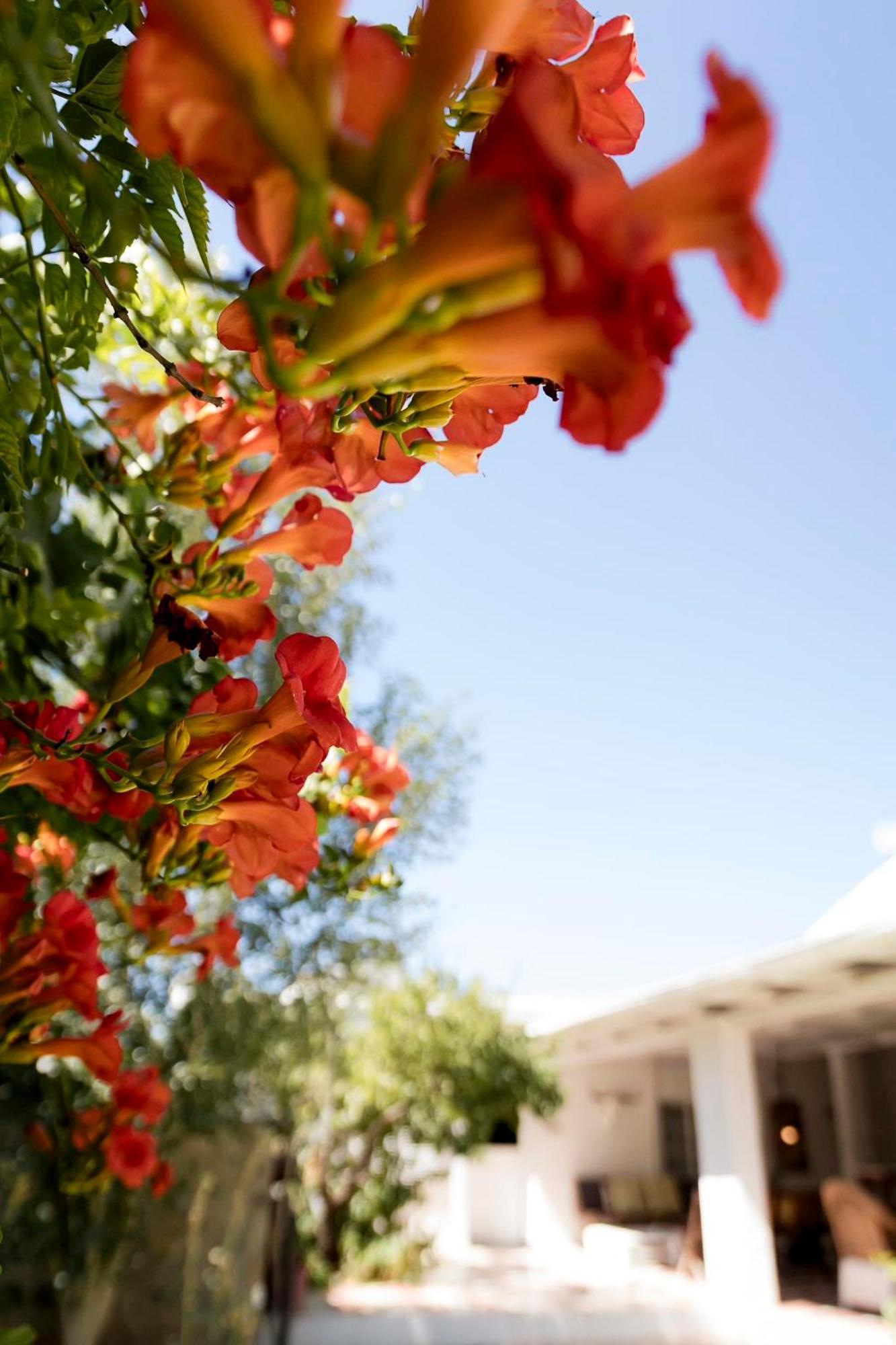 Boutique Guesthouse האנובר מראה חיצוני תמונה